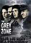 the grey zone