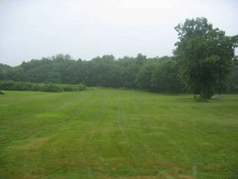 field and forest at St. Agatha