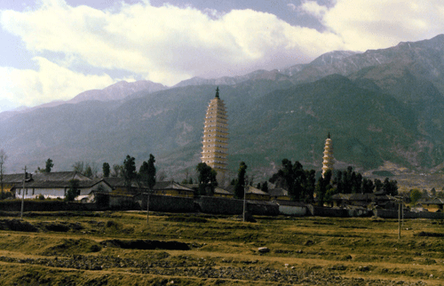 dali towers