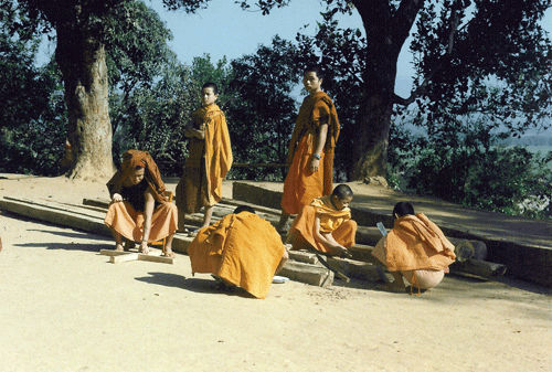 more dai monks